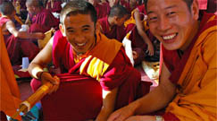 Wierook uit Tibet / Nepal